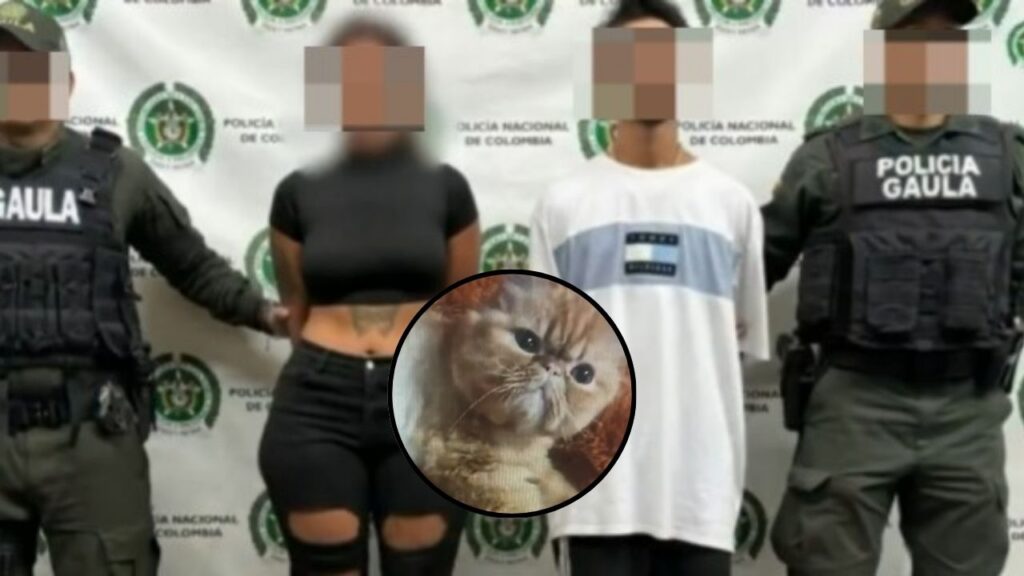 Backdrop
