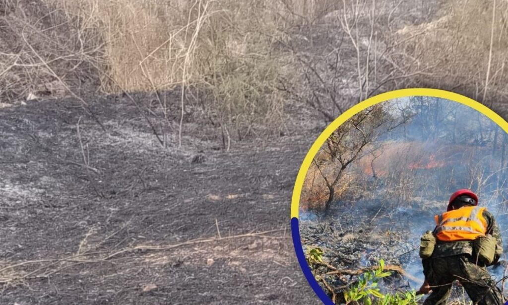 Backdrop