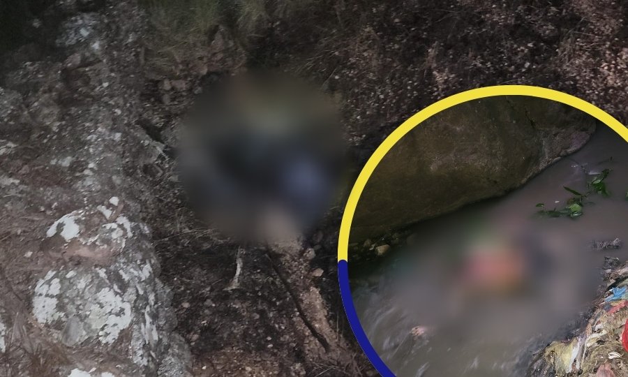 Backdrop